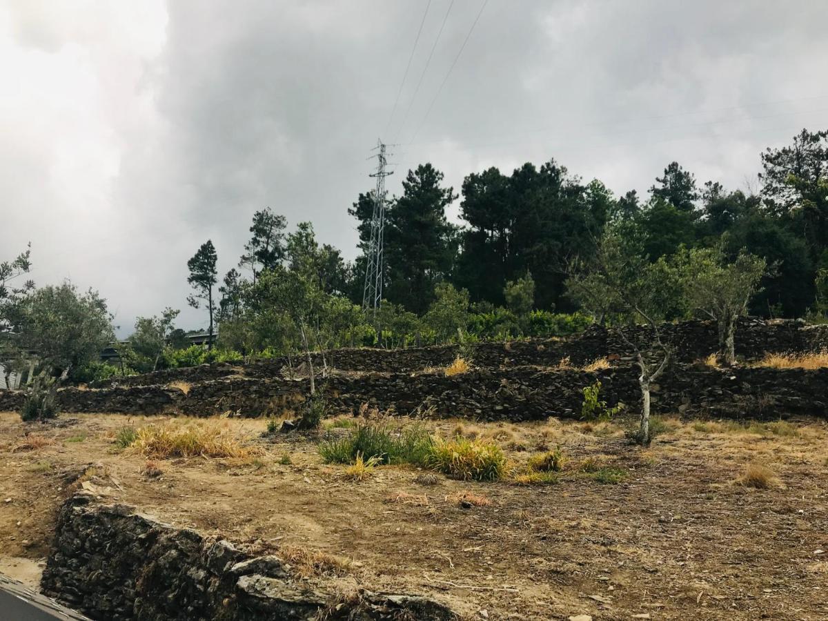 "Casa Do Avo Armindo" Mountain Experience Villa Vila Real Dış mekan fotoğraf